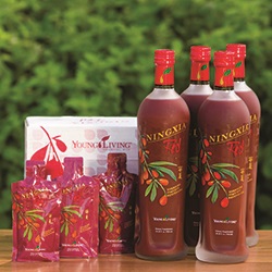 Starter Kit Ningxia Red